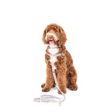 Mosaic Hemp Dog Harness